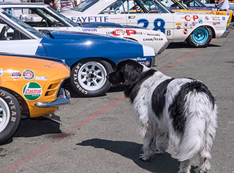 Sonoma Historic Motorsports Festival