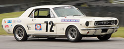 Mustang